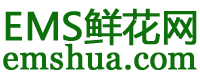 情人节鲜花网logo